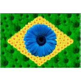 Bandeira do Brasil Floral